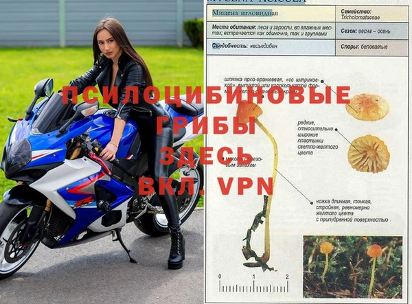 герыч Ельня