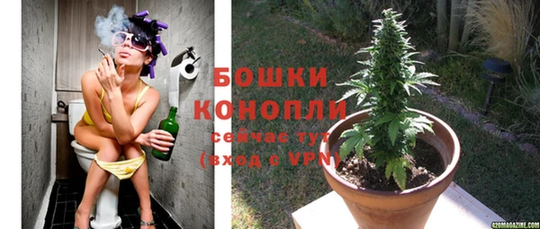герыч Ельня